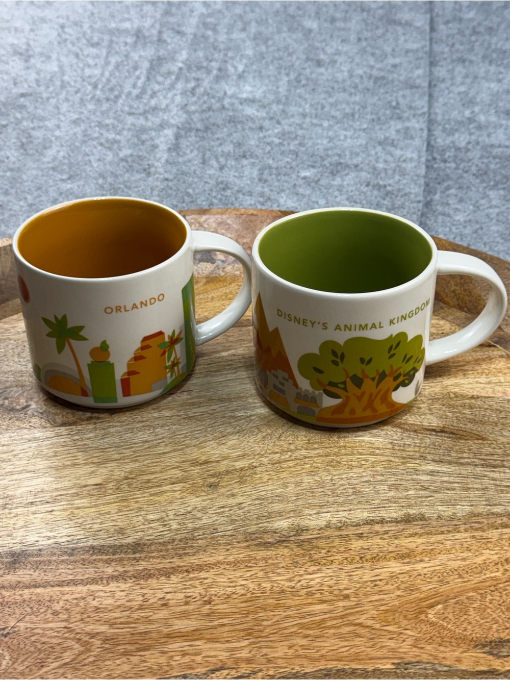 Retired Starbucks Disney Animal Kingdom Orlando Mug Set